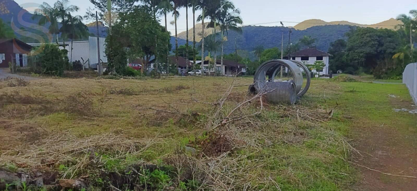 Terreno à venda - Foto 3