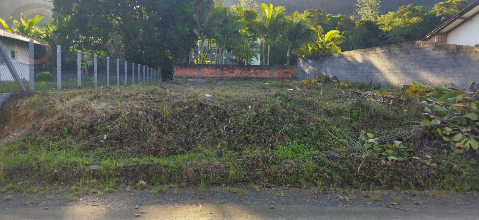 Terreno à venda - Foto 4