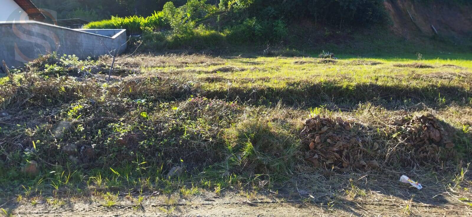 Terreno à venda - Foto 2