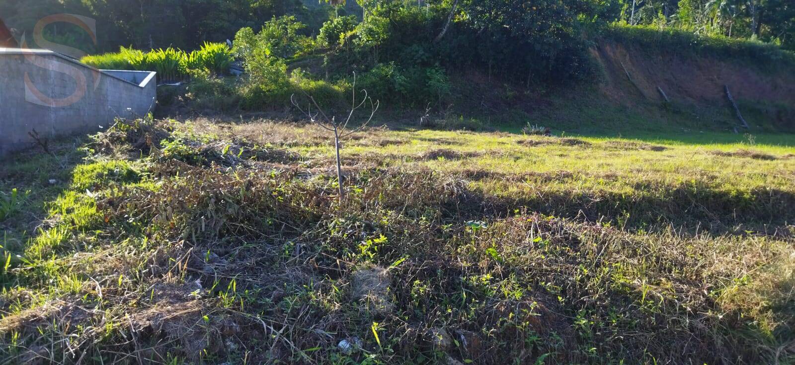 Terreno à venda - Foto 3